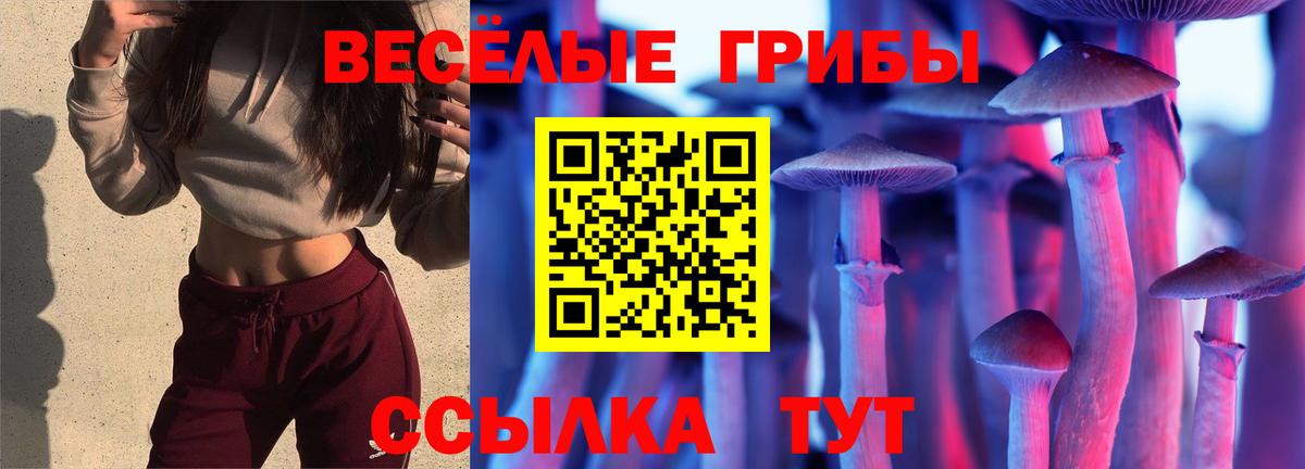 Галлюциногенные грибы Magic Shrooms  Вход с VPN  Псилоцибиновые грибы MAGIC MUSHROOMS  Когалым 
